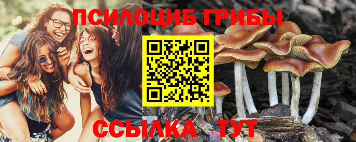 Приморско-Ахтарск  Псилоцибиновые грибы ЛСД  Вход с VPN 