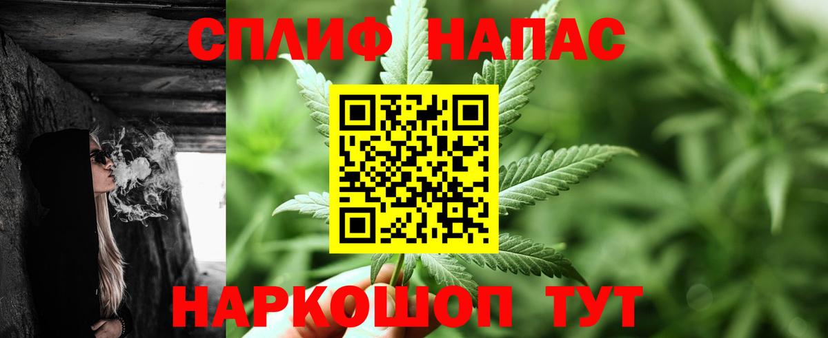 Каннабис гибрид Приморско-Ахтарск